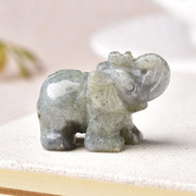 1PC Natural Crystal Elephant Stone